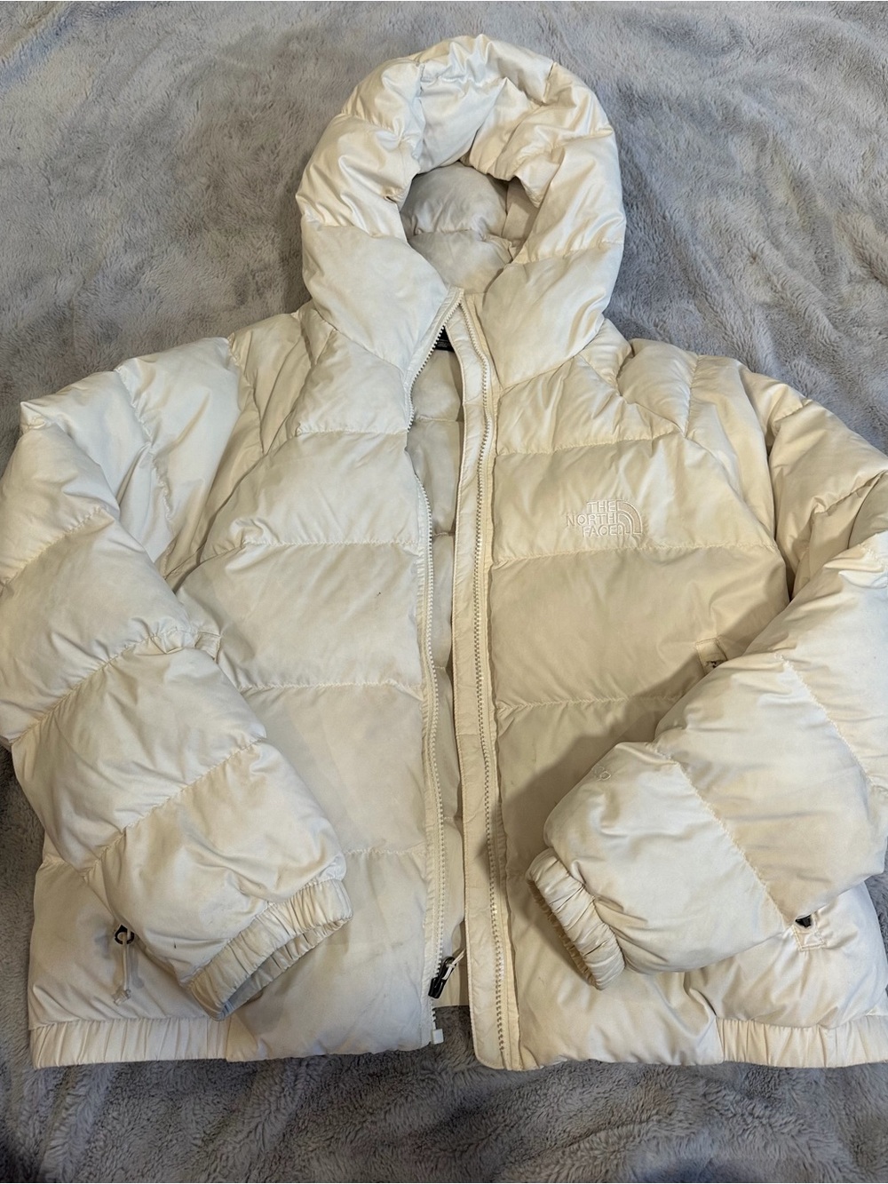 The North Face Women's Hydrenalite Hooded Jacket in White Dune